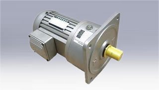 Gear motor